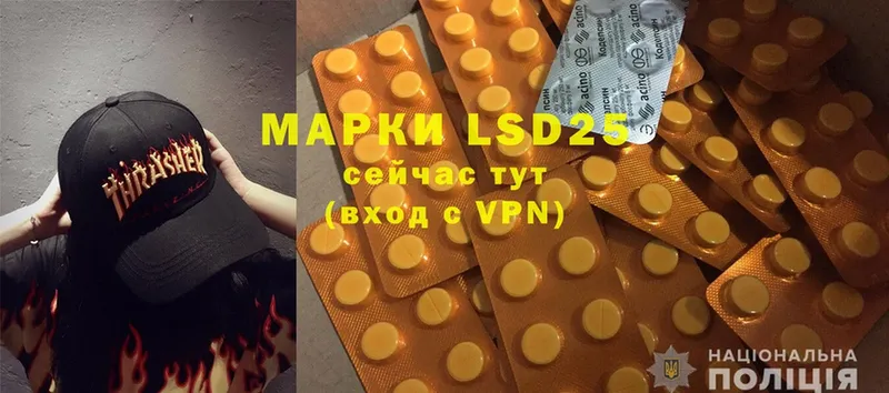 LSD-25 экстази кислота  Болотное 